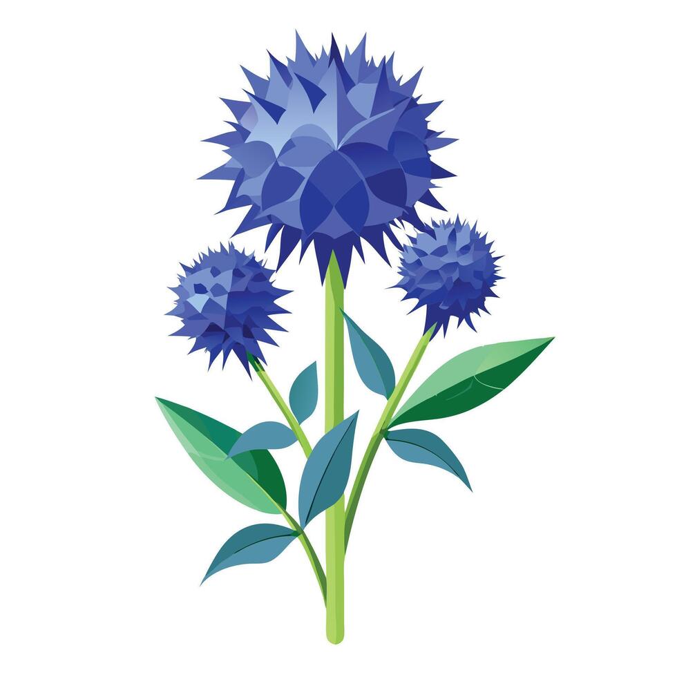 Detailed Illustration of a Globe Thistle Plant with White Flowers vector