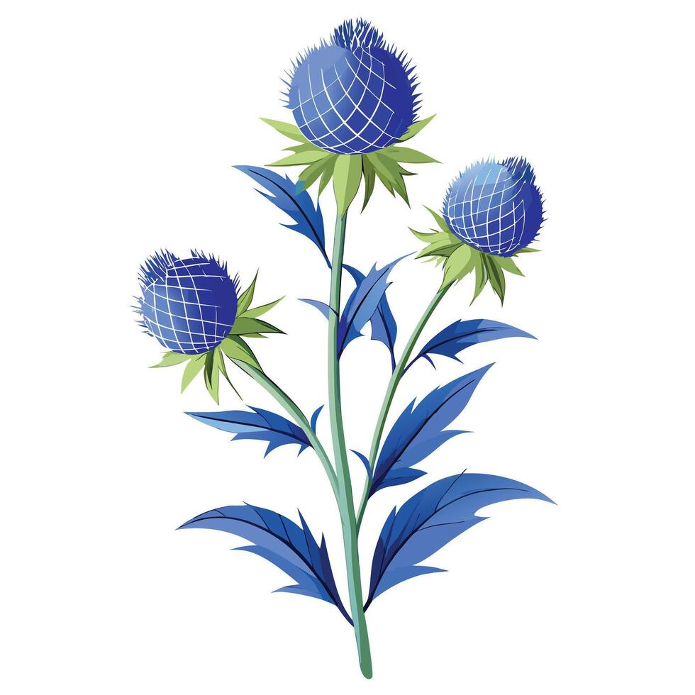 Beautiful Globe Thistle Plant with Purple Flowers and Green Leaves vector