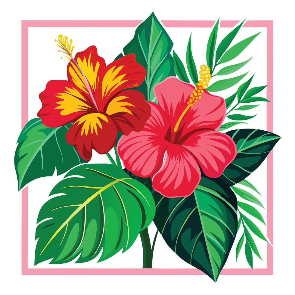 Vibrant Hibiscus Plant with Large Flowers and Leaves vector