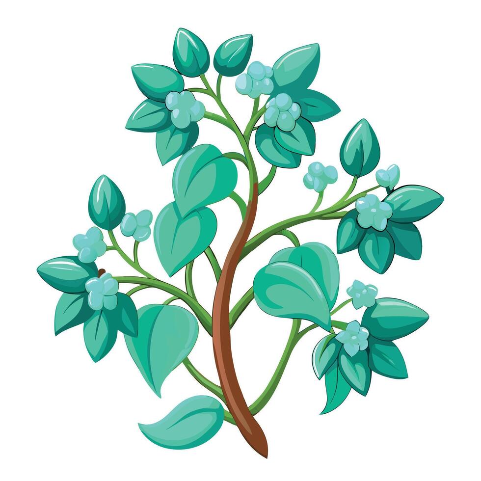 Beautiful Jade Vine Plant with Delicate Flowers and Leaves vector