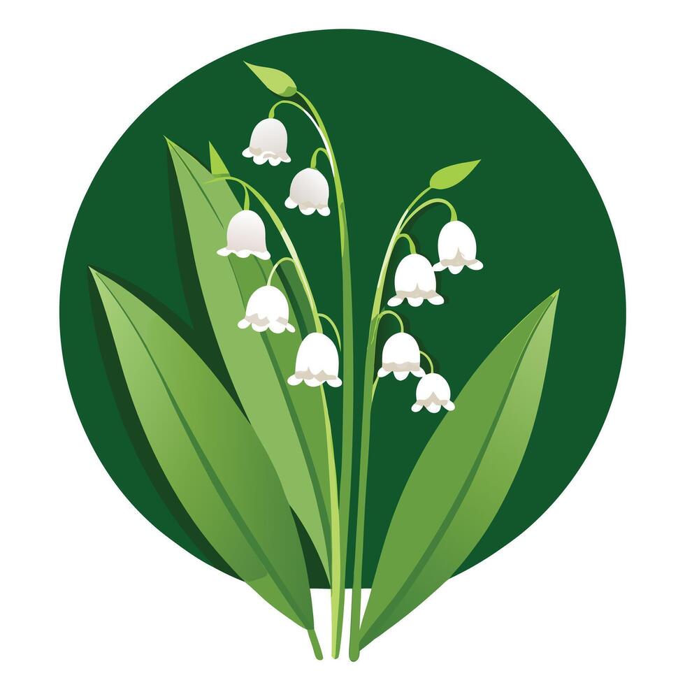 Vibrant Lily of the Valley Plant with Brightly Colored Flowers and Leaves vector