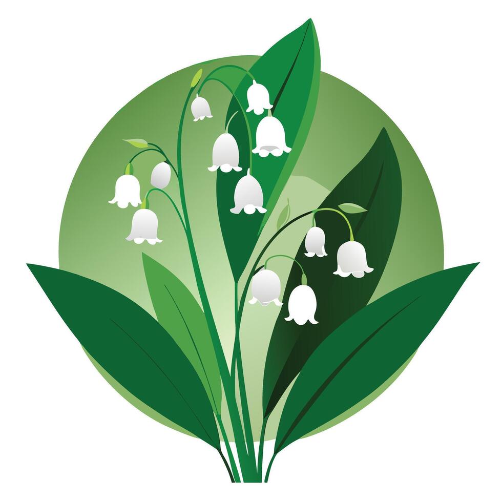 Detailed Lily of the Valley Plant with Delicate Flowers and Leaves vector