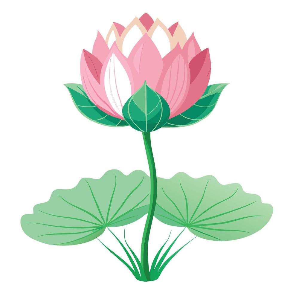 Intricate Details of a Lotus Plant in a Natural Setting with Water Lilies vector