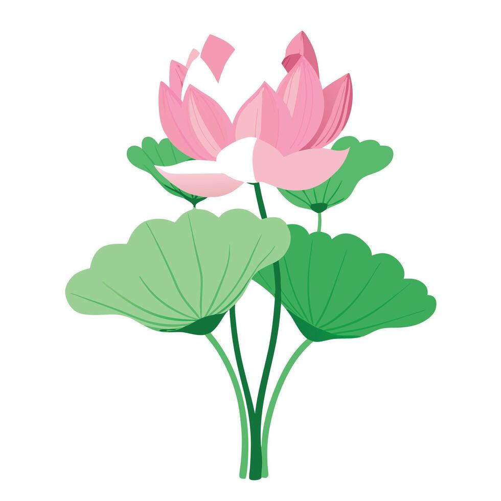 Detailed Lotus Plant with Delicate Flowers and Leaves in a Natural Setting vector