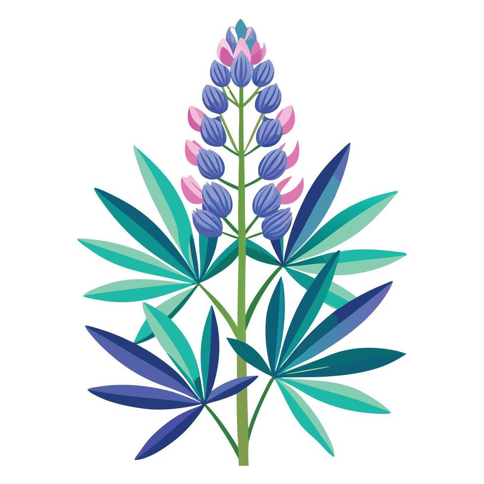 Beautiful Lupine Plant with Tall Stems and Flowers vector