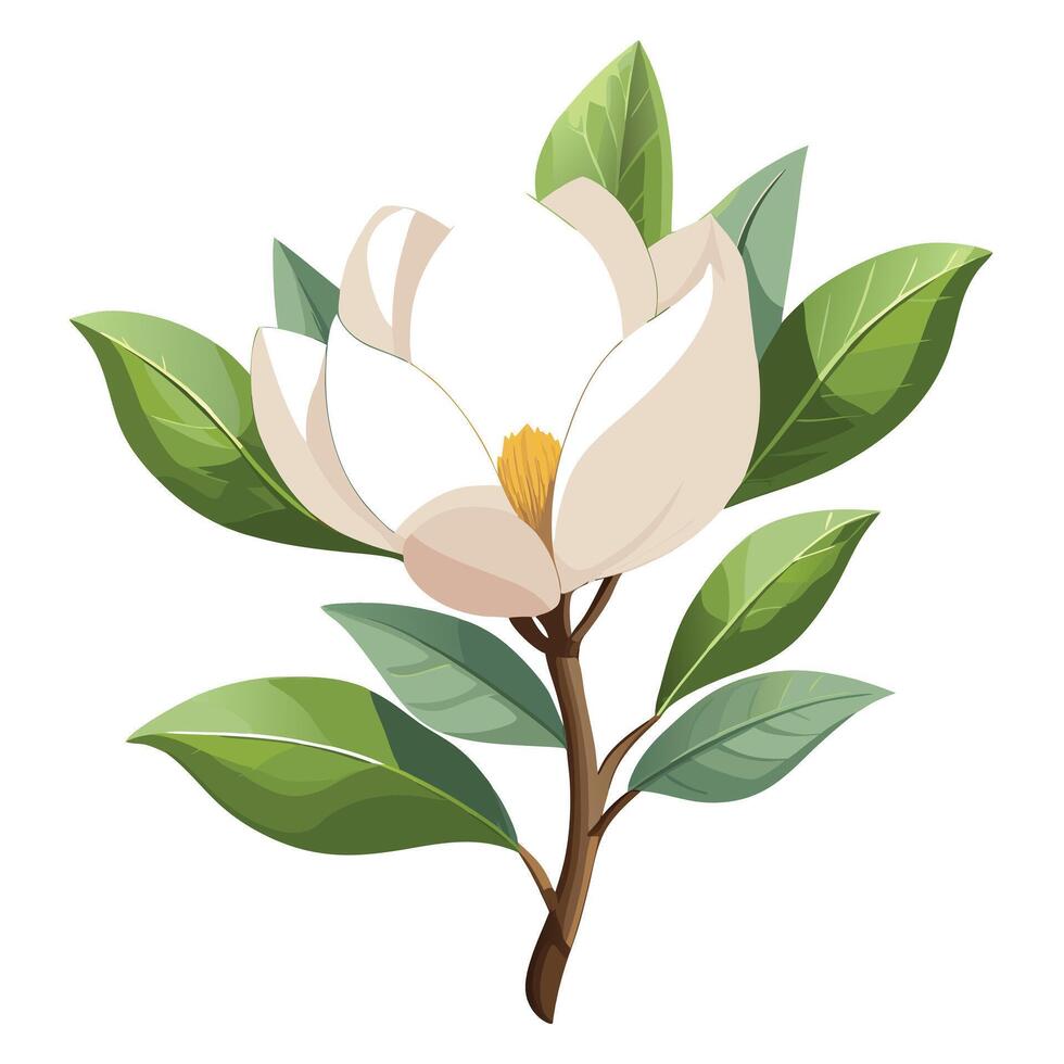 Vibrant Magnolia Flower Plant with Brightly Colored Flowers and Leaves vector