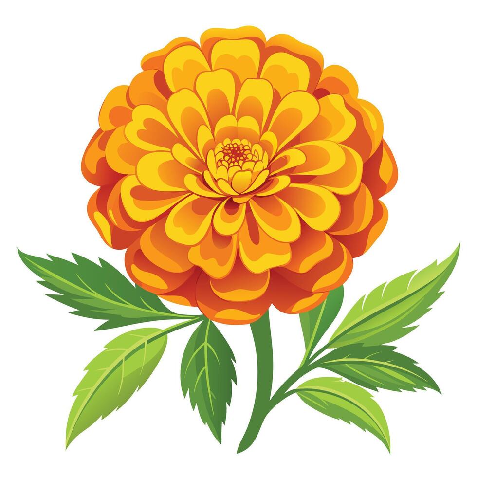 Vibrant Marigold Flower with Delicate Petals and Leaves in a Natural Setting vector