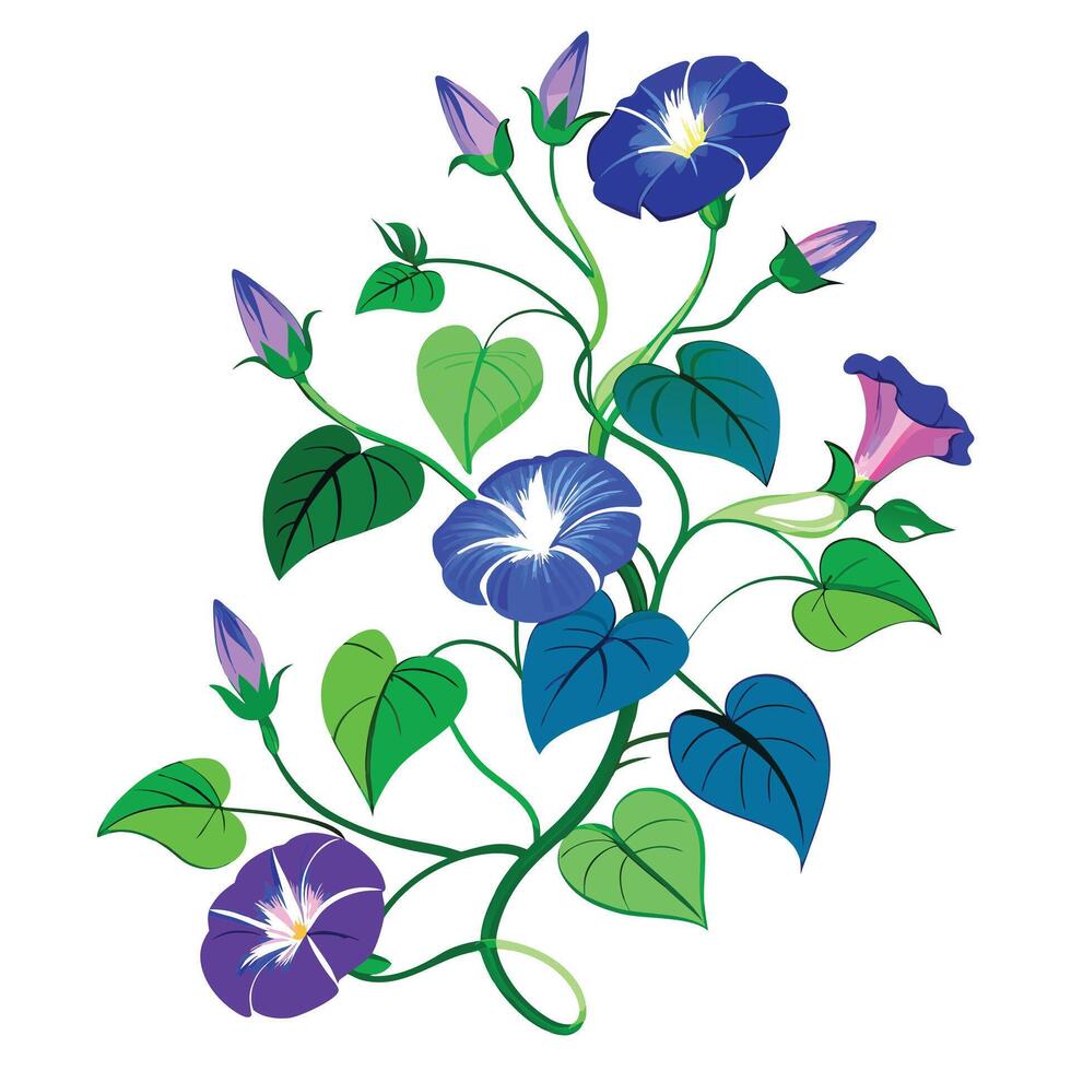 Vibrant Morning Glory Vine with Brightly Colored Flowers and Leaves in a Natural Setting vector