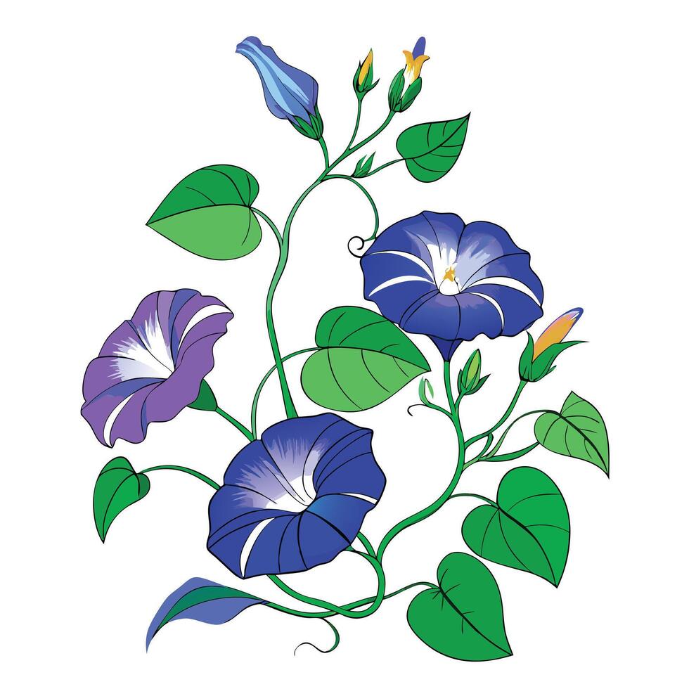 Intricate Details of a Morning Glory Vine in a Natural Setting with Wildflowers and Butterflies vector