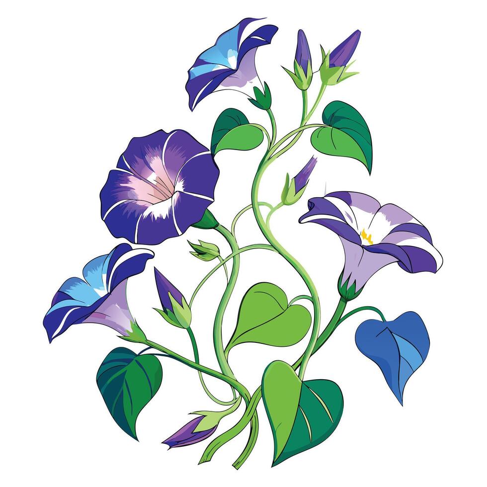 Beautiful Morning Glory Vine with Delicate Flowers and Leaves in a Natural Setting with a Trellis vector
