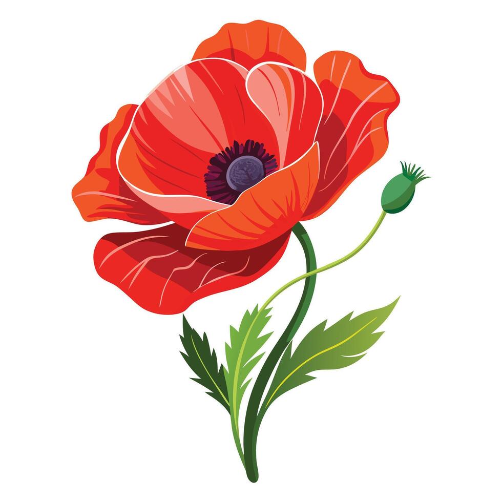 Beautiful Poppy Plant with Delicate Flowers and Leaves vector