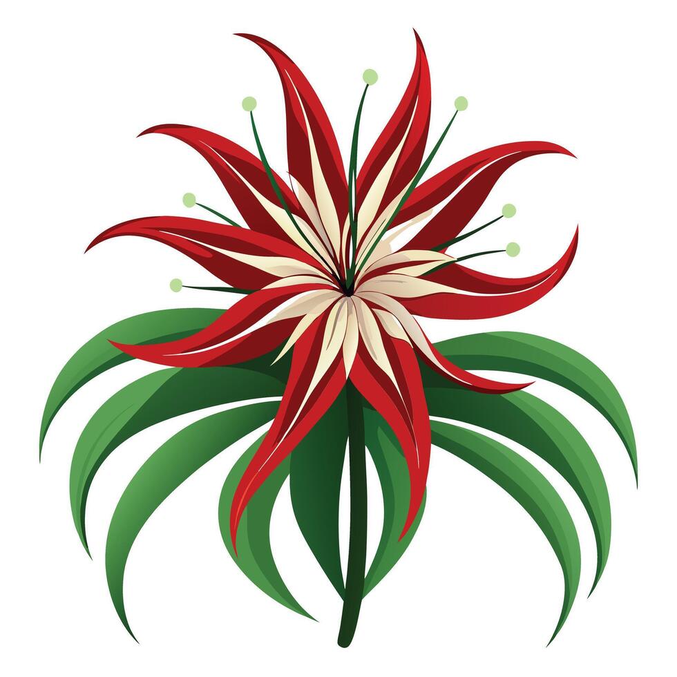 Spider Lily Flower with Pink Petals and Green Leaves in a Garden Setting vector