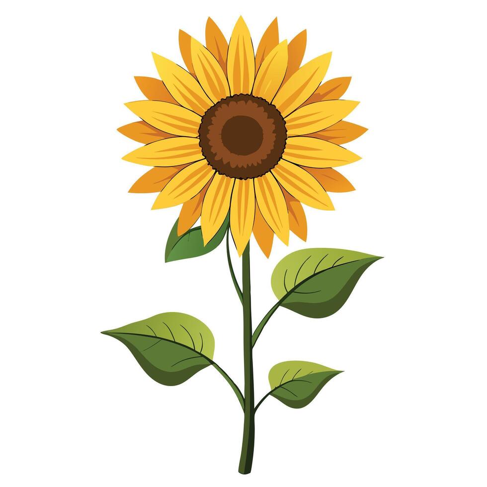 Detailed Illustration of a Sunflower Plant with White Petals and Long Stems vector