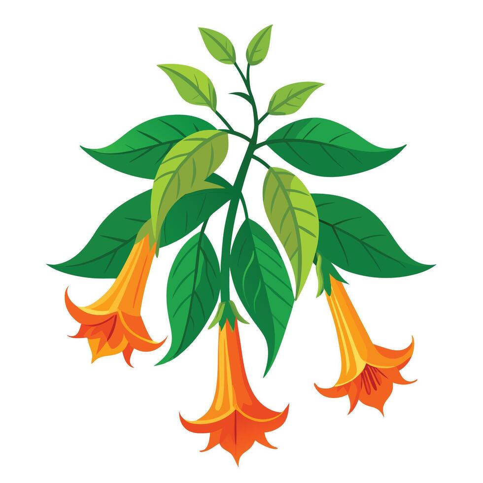 Detailed Illustration of a Trumpet Vine Plant with White Petals and Long Stems vector