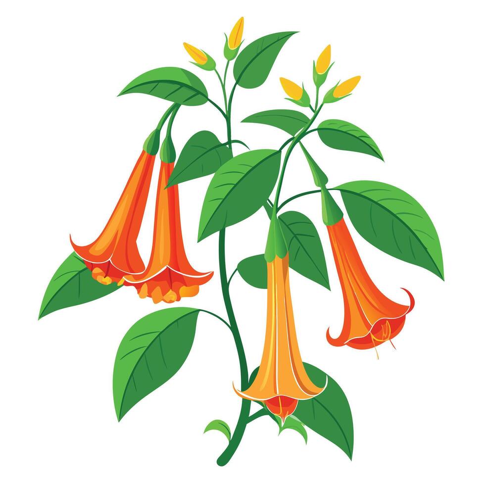 Trumpet Vine Plant with Pink Flowers and Green Leaves in a Garden Setting vector