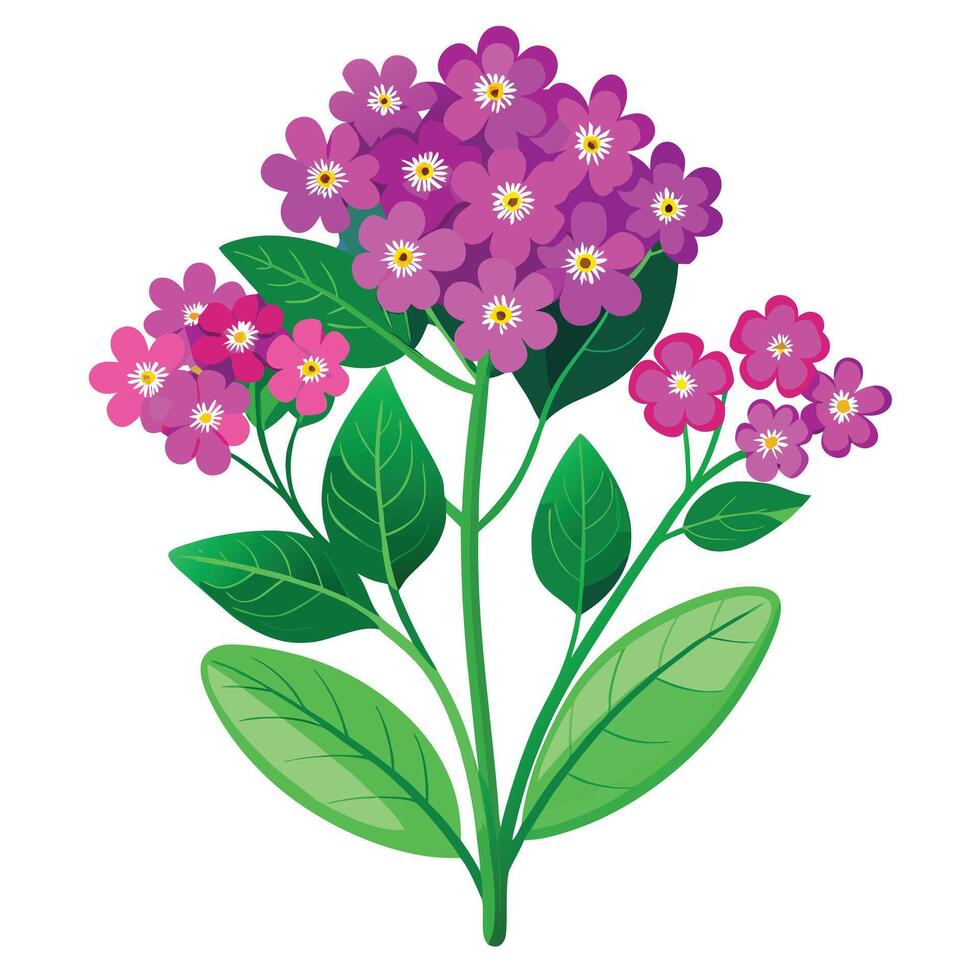Verbena Plant with Yellow Flowers and Green Leaves in a Garden Setting vector