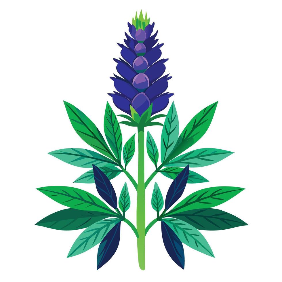 Detailed Illustration of a Wolfsbane Flower with White Petals and Long Stems vector