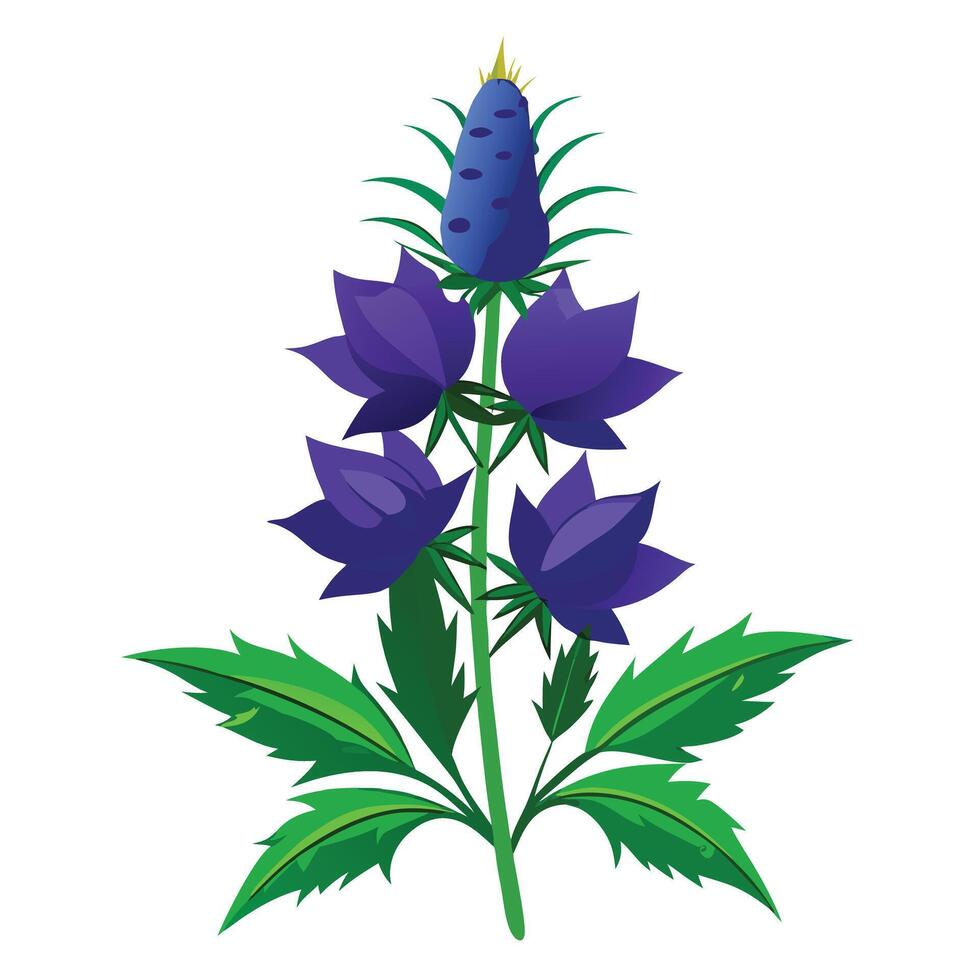 Beautiful Wolfsbane Flower with Purple Petals and Green Leaves vector