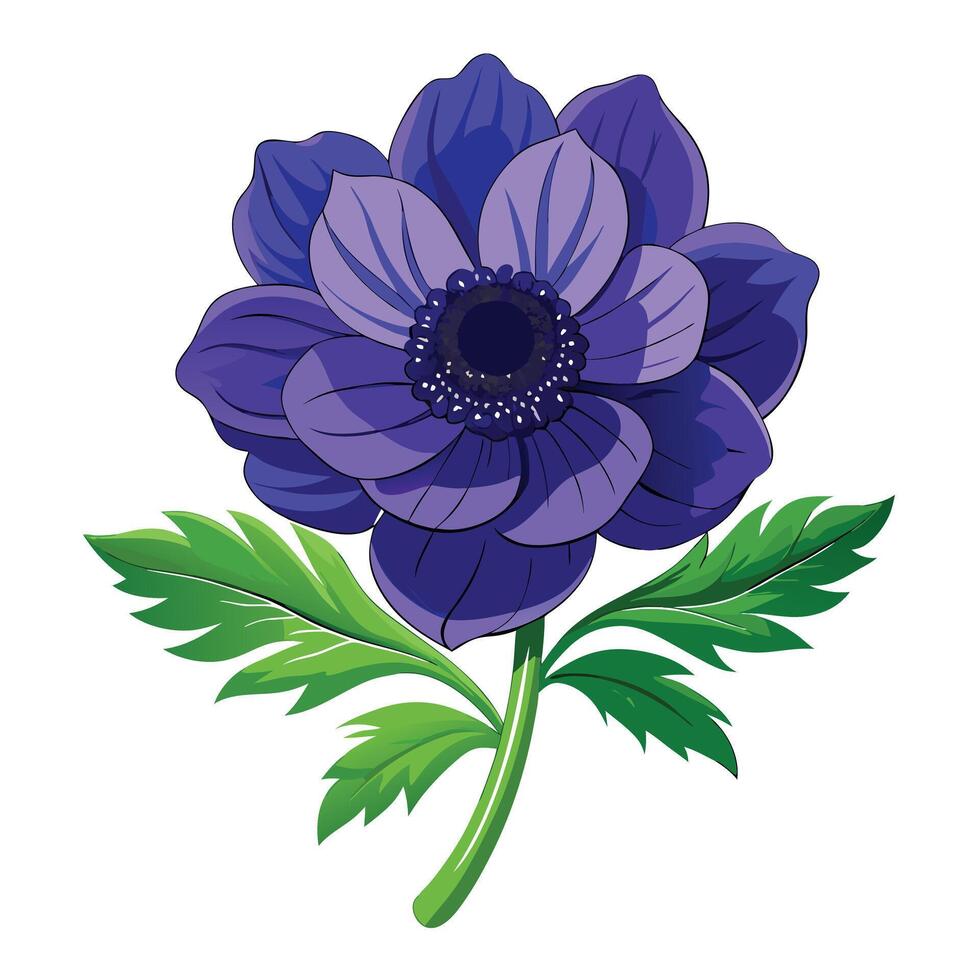 Vibrant Anemone Flower Plant with Brightly Colored Flowers and Leaves in a Natural Setting vector