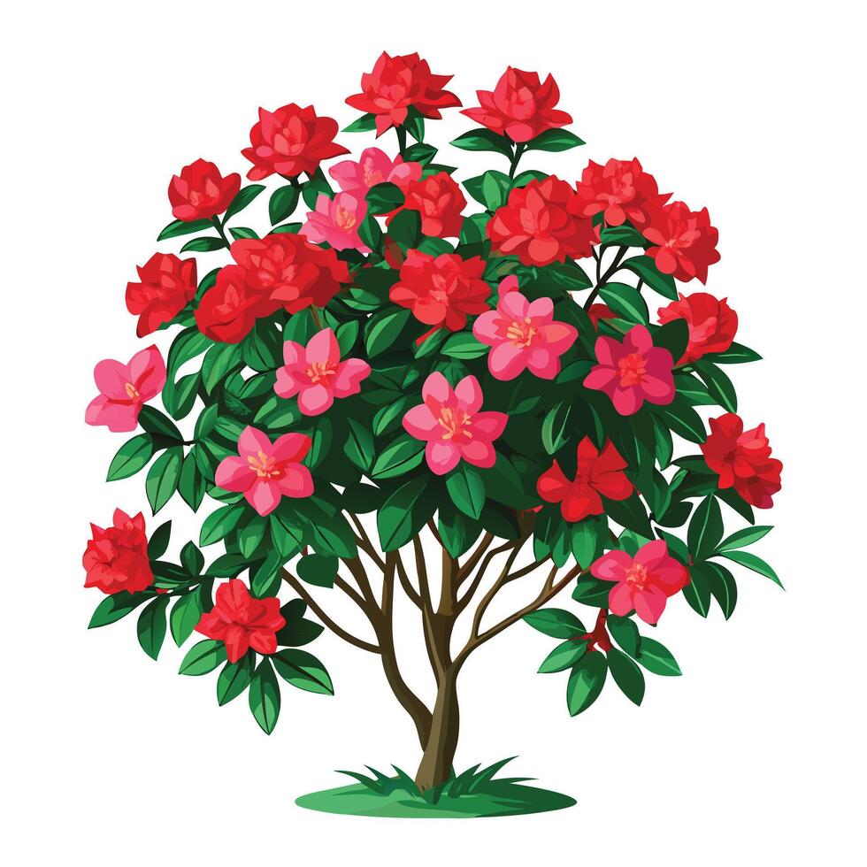 Botanical Illustration of an Azalea Bush in Full Bloom with Green Leaves and Stems vector