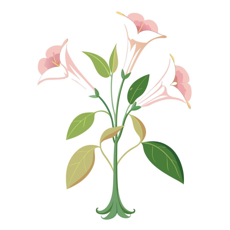 Botanical Rendering of a Belladonna Lily in Full Bloom with Green Leaves and Stems vector