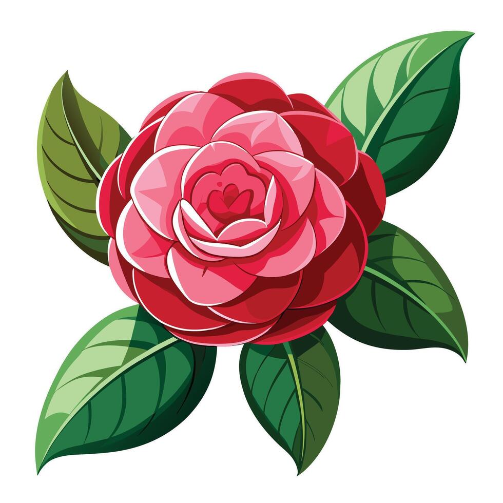 Botanical Rendering of a Camellia Japonica Plant in Full Bloom with Green Leaves and Stems vector