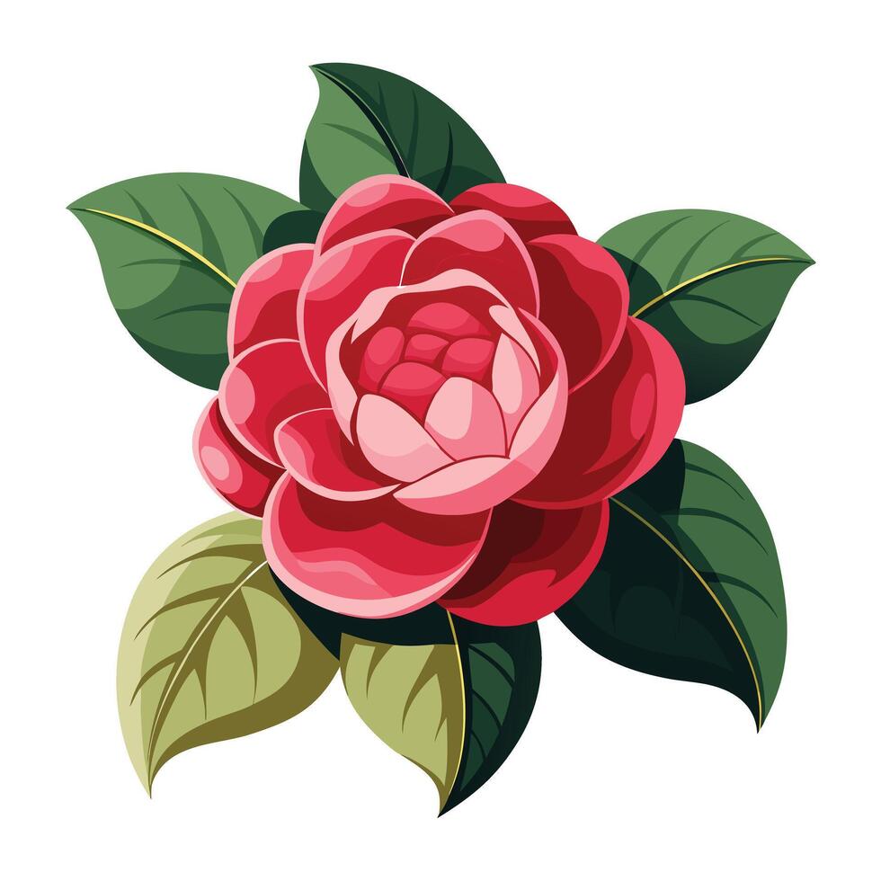 Vibrant Camellia Japonica Plant with Brightly Colored Flowers and Leaves in a Natural Setting vector