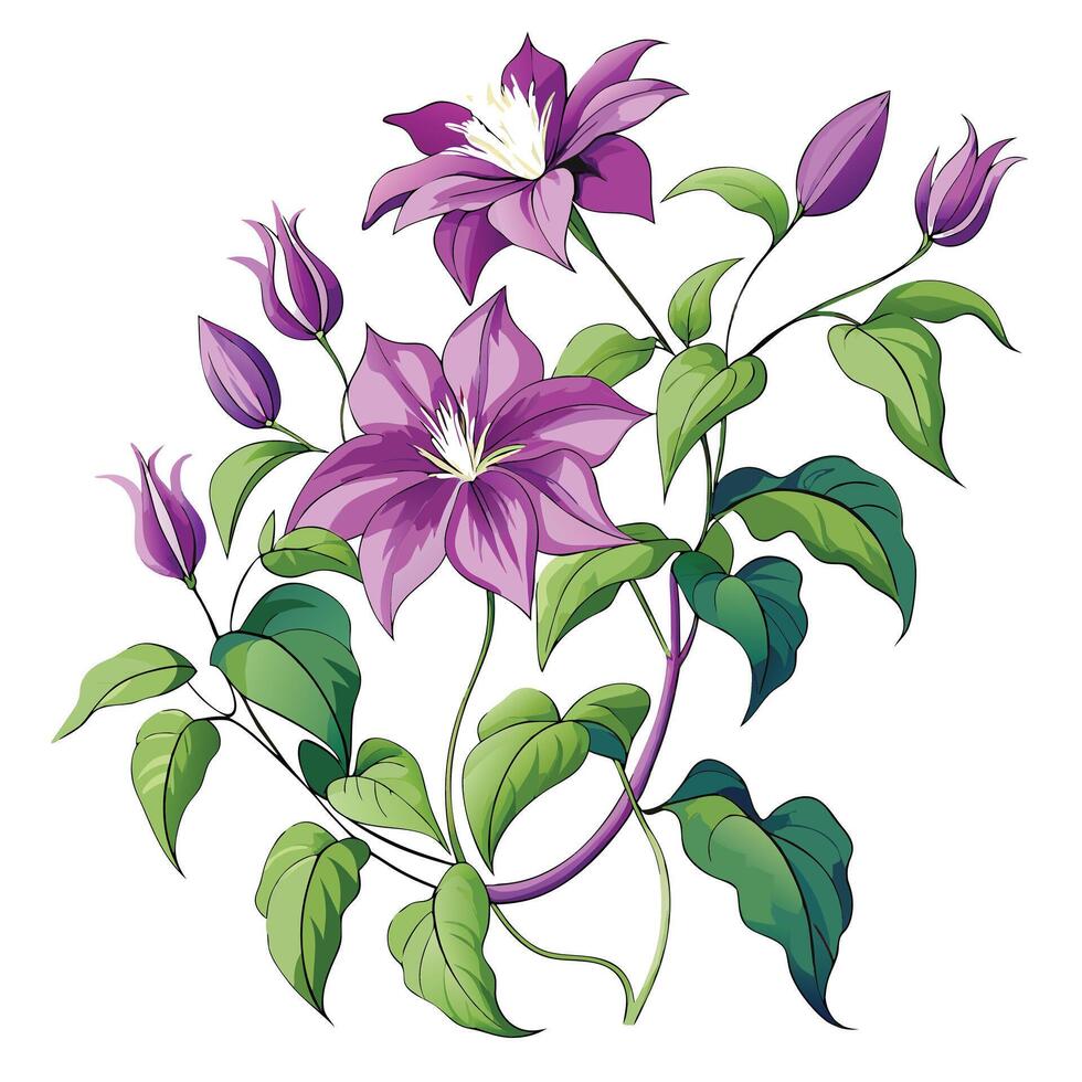 Intricate Details of a Clematis Vine in a Natural Setting with Wildflowers and Butterflies Isollated on a White Background vector