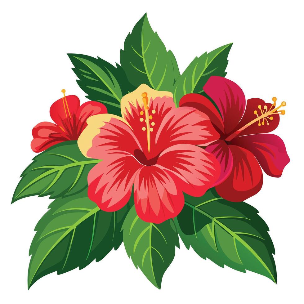 Vibrant Hibiscus Plant with Brightly Colored Flowers and Leaves in a Natural Setting Isollated on White Background vector