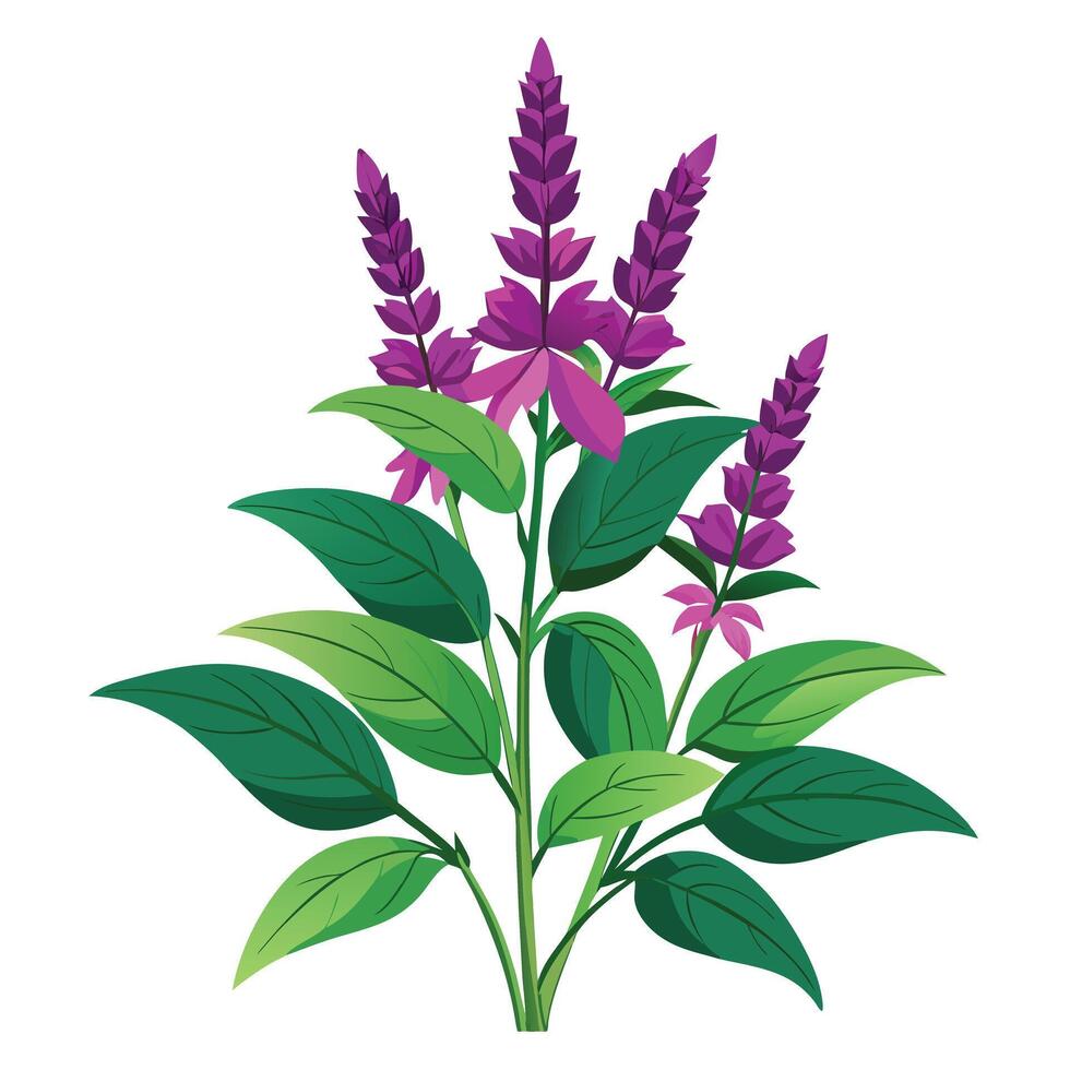 Intricate Details of a Hummingbird Sage Plant in a Natural Setting with Wildflowers and Butterflies vector