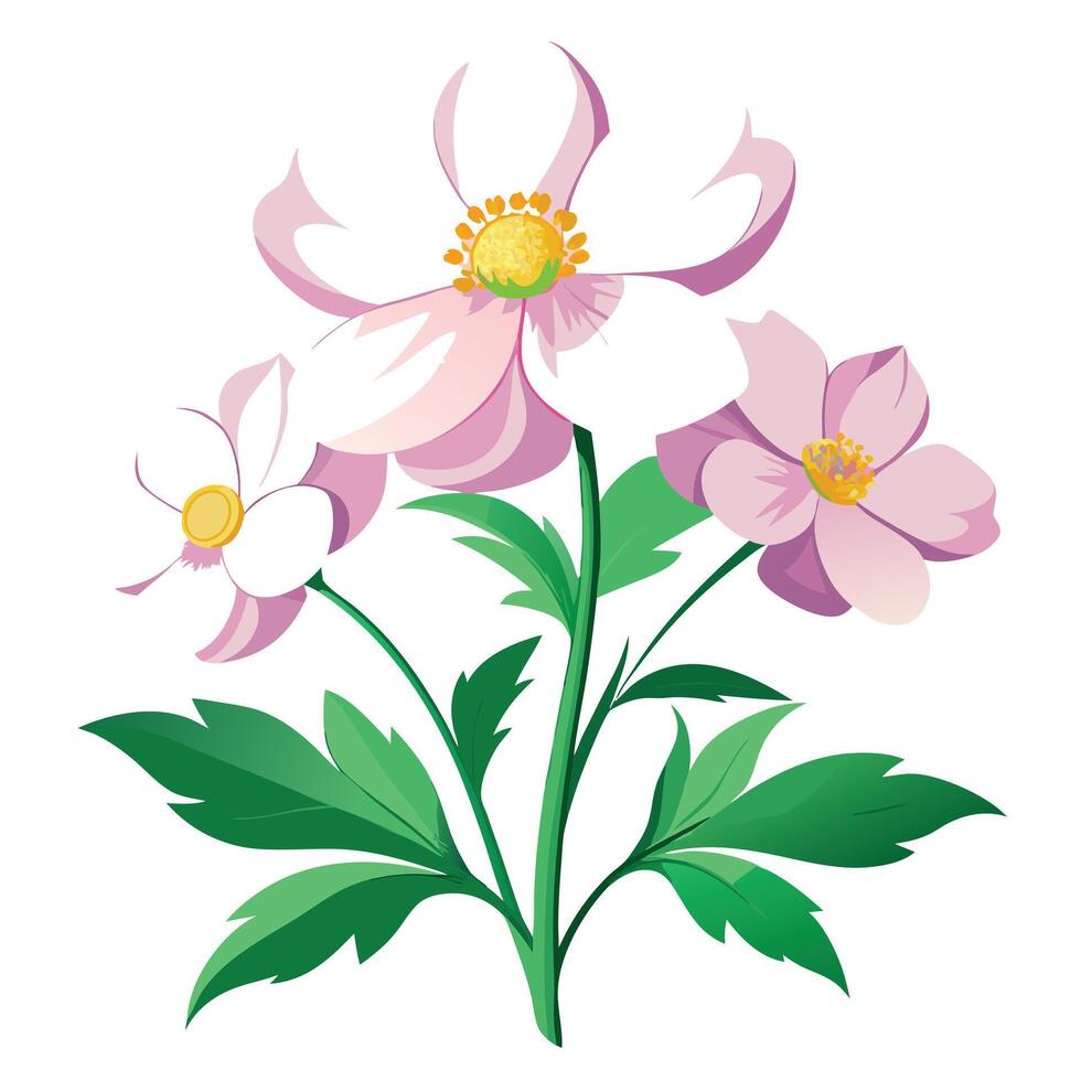 Botanical Rendering of a Japanese Anemone Plant in Full Bloom with Green Leaves and Stems vector