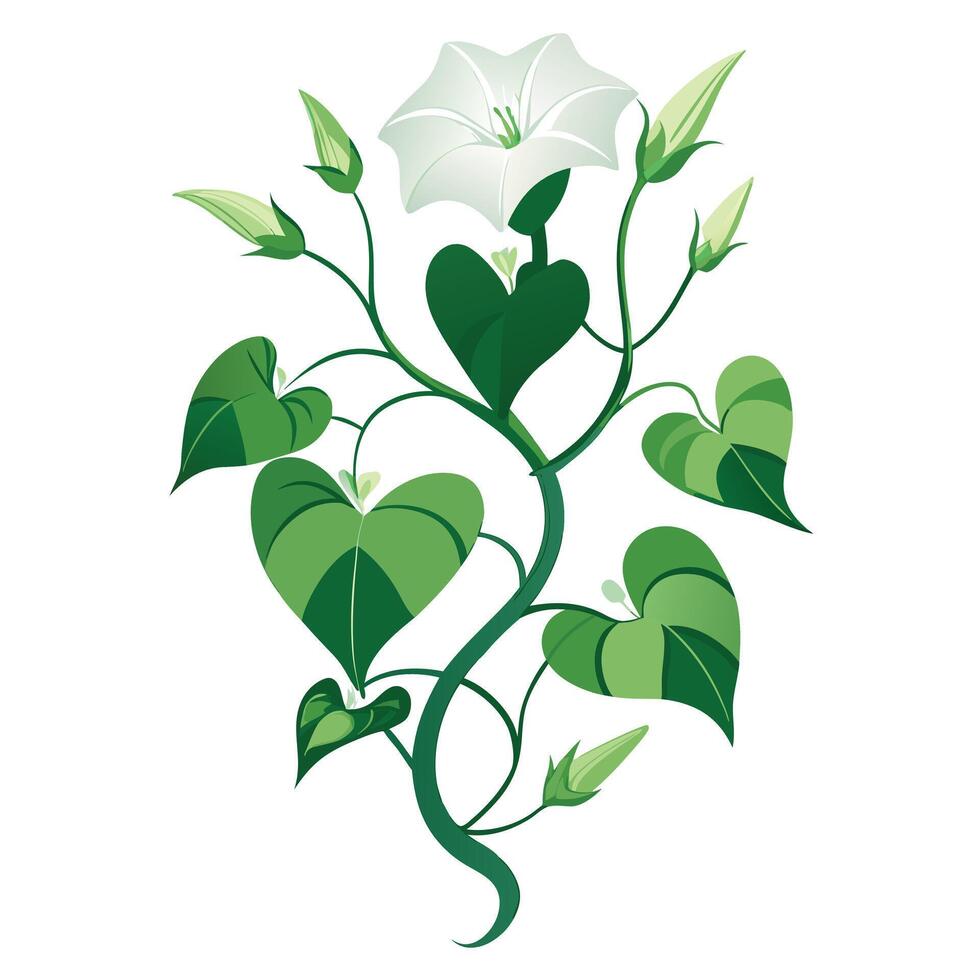 Vibrant Moonflower Vine with Brightly Colored Flowers and Leaves in a Natural Setting Isollated on a White Background vector