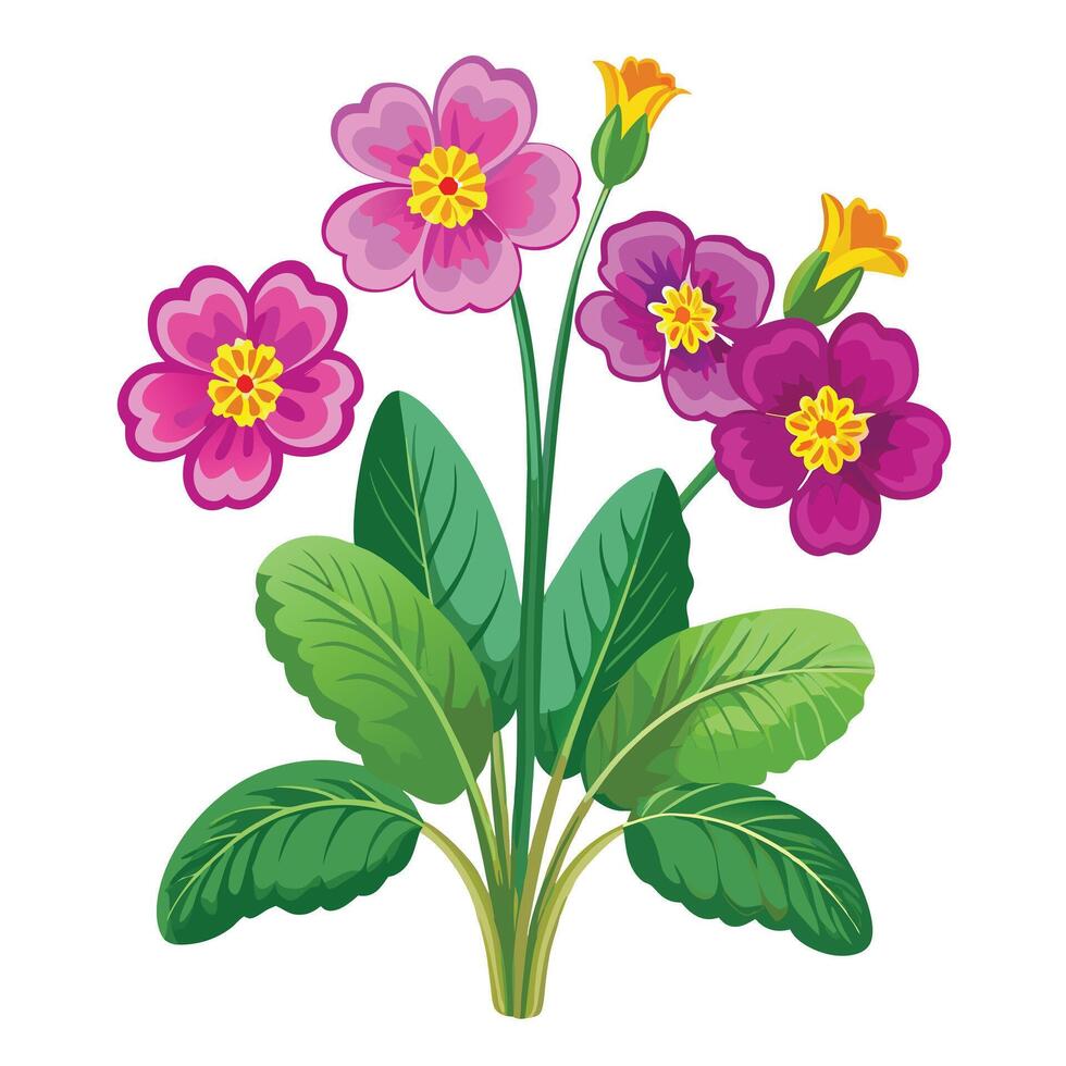 Beautiful Primrose Plant with Yellow Flowers and Green Leaves vector