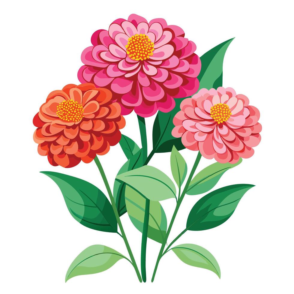Beautiful Zinnia Plant with Colorful Flowers and Green Leaves vector
