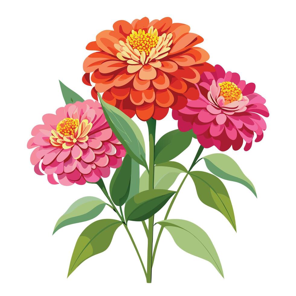 Zinnia Plant with Purple Flowers and Green Leaves in a Garden Setting vector