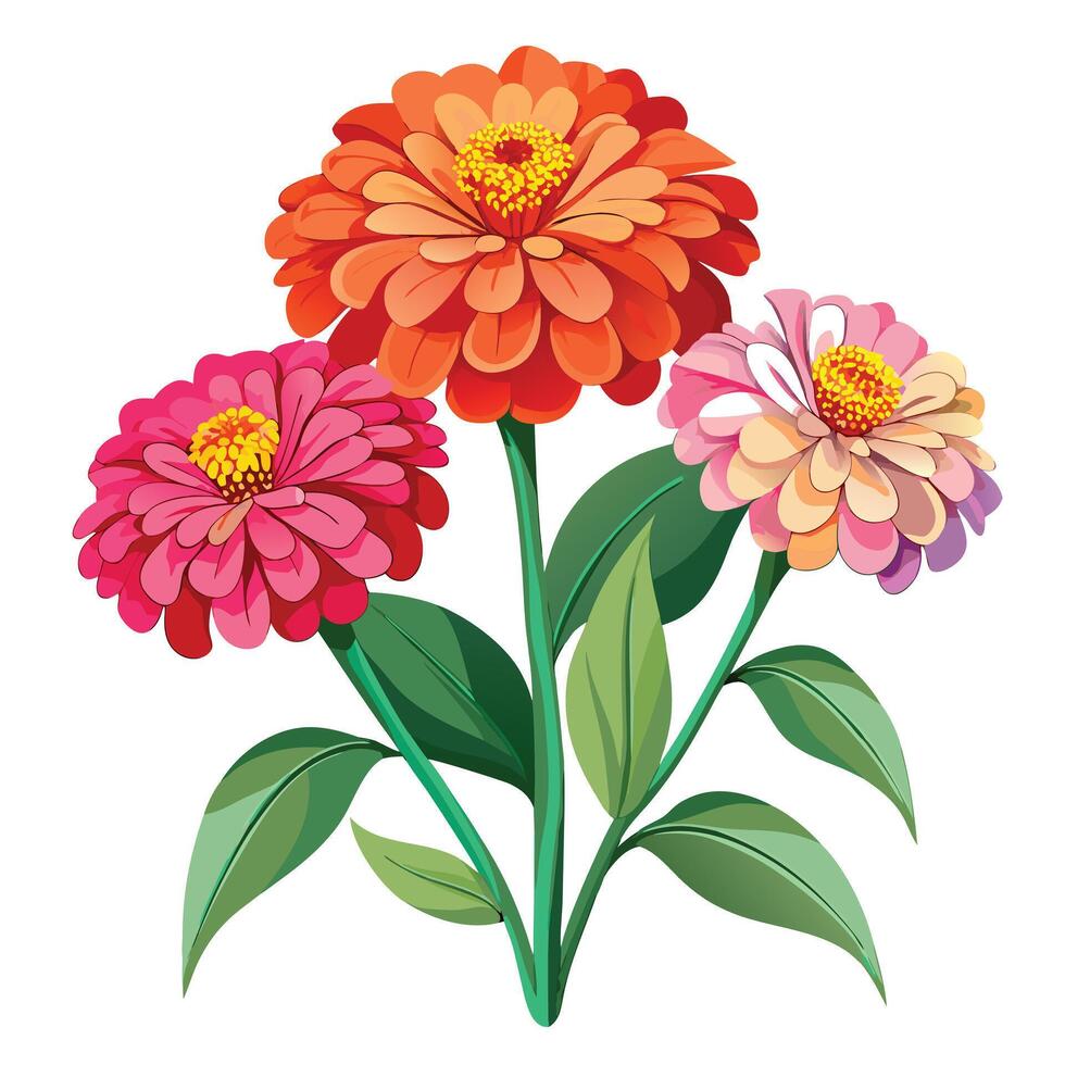 Zinnia Plant with Yellow Flowers and Green Leaves in a Garden Setting vector