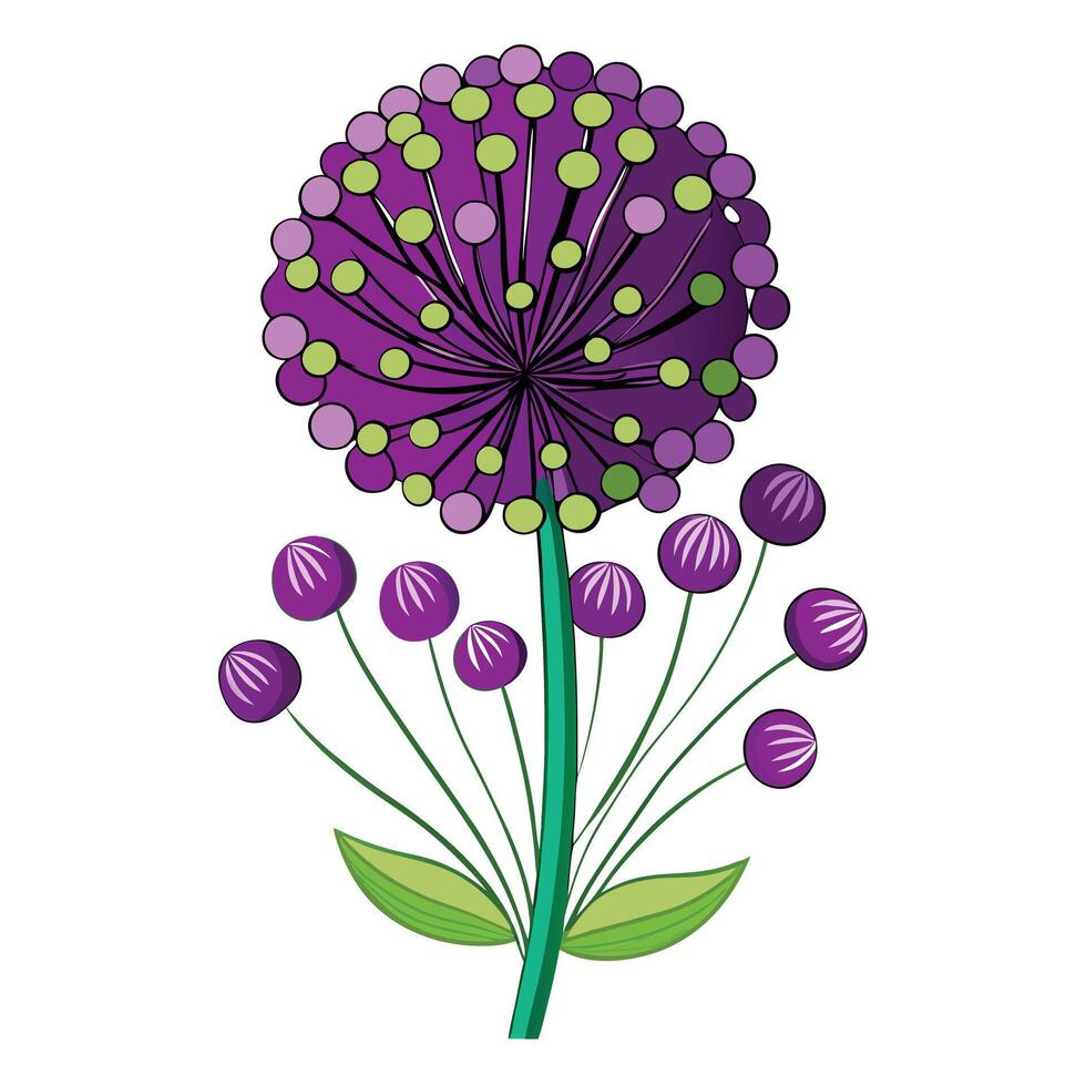 Beautiful Allium Flower with Delicate Petals and Leaves vector