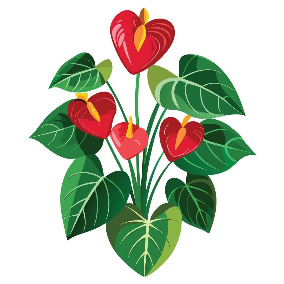 Detailed Illustration of an Anthurium Plant with White Petals and Long Stems vector
