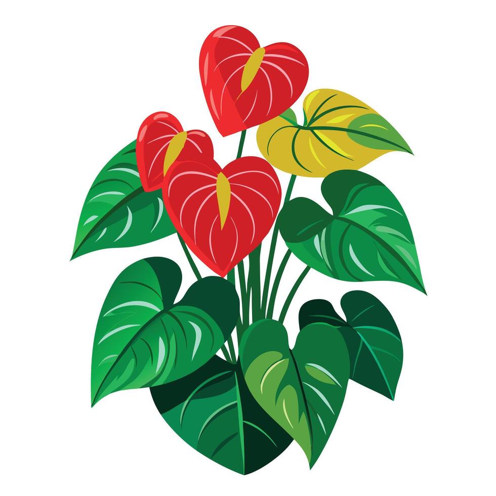 Anthurium Plant with Purple Flowers and Green Leaves in a Garden Setting vector