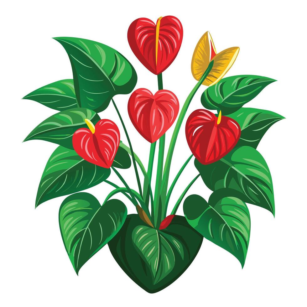 Beautiful Anthurium Plant with Heart-Shaped Flowers and Green Leaves vector