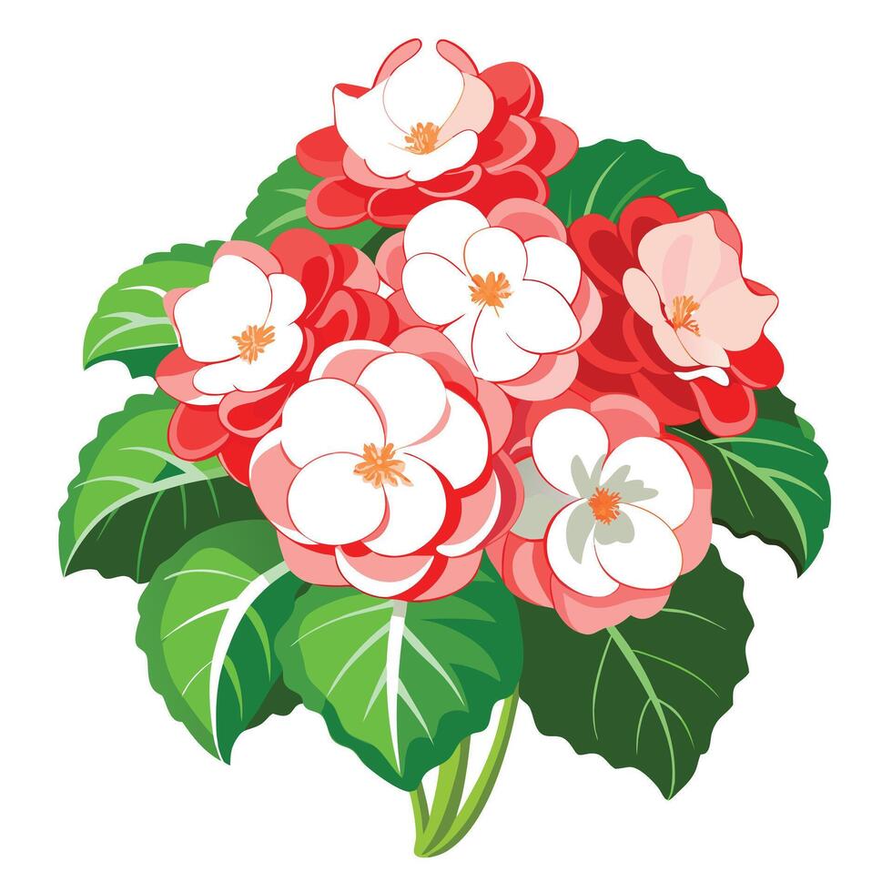 Begonia Plant with Yellow Flowers and Green Leaves in a Garden Setting vector