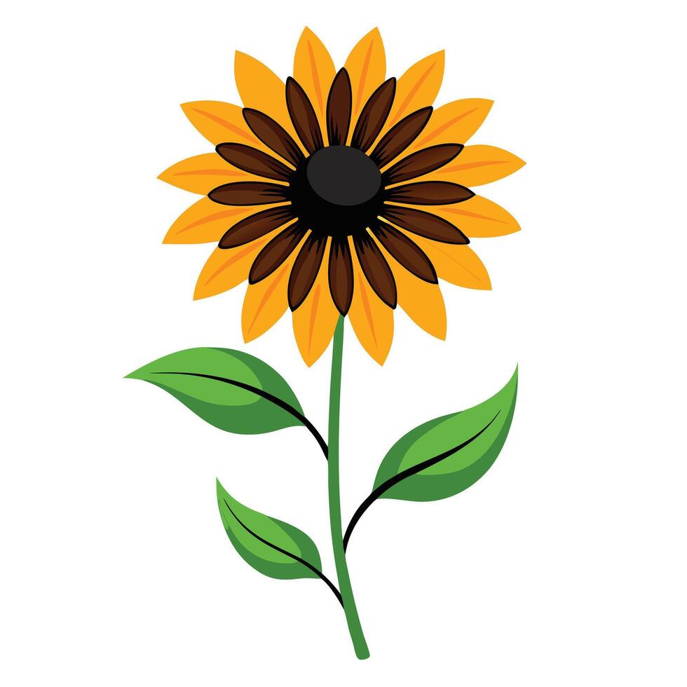 Black-Eyed Susan Plant with Pink Flowers and Green Leaves in a Garden Setting vector