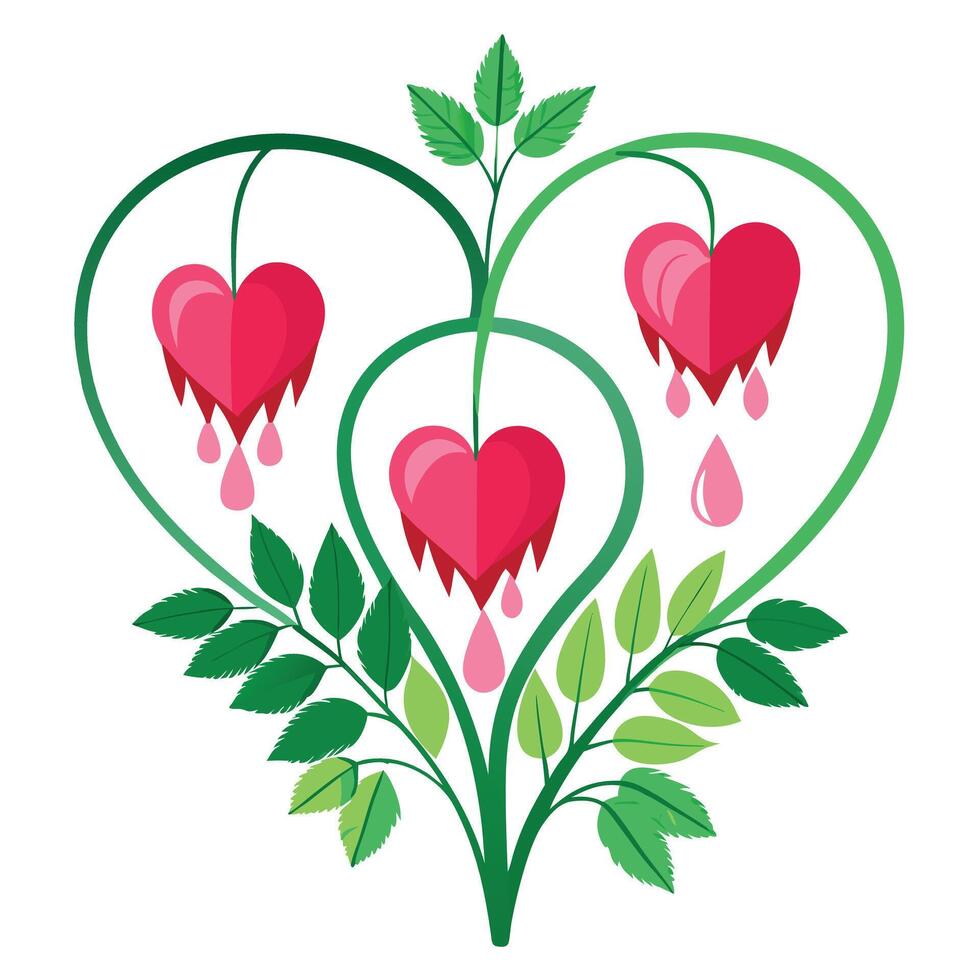 Beautiful Bleeding Heart Plant with Arching Stems and Heart-Shaped Flowers vector