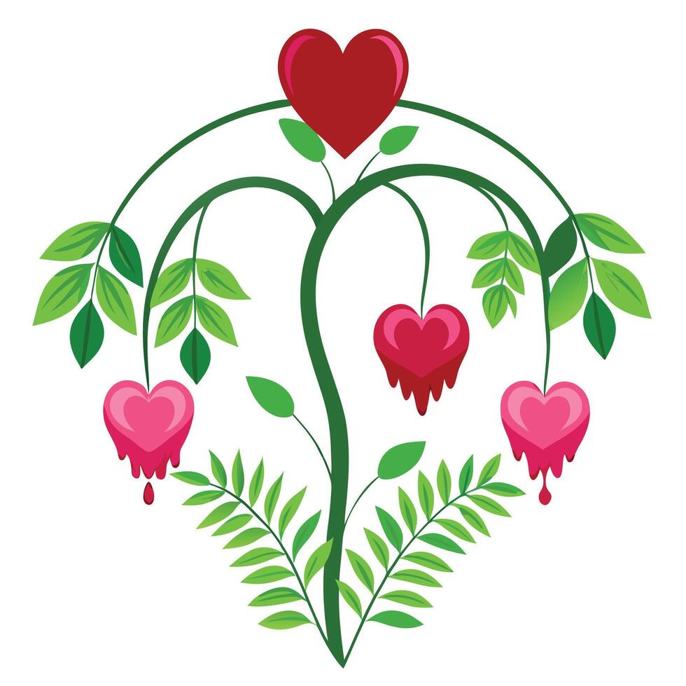Bleeding Heart Plant with Pink Flowers and Green Leaves in a Garden Setting Isollated on a White Background vector