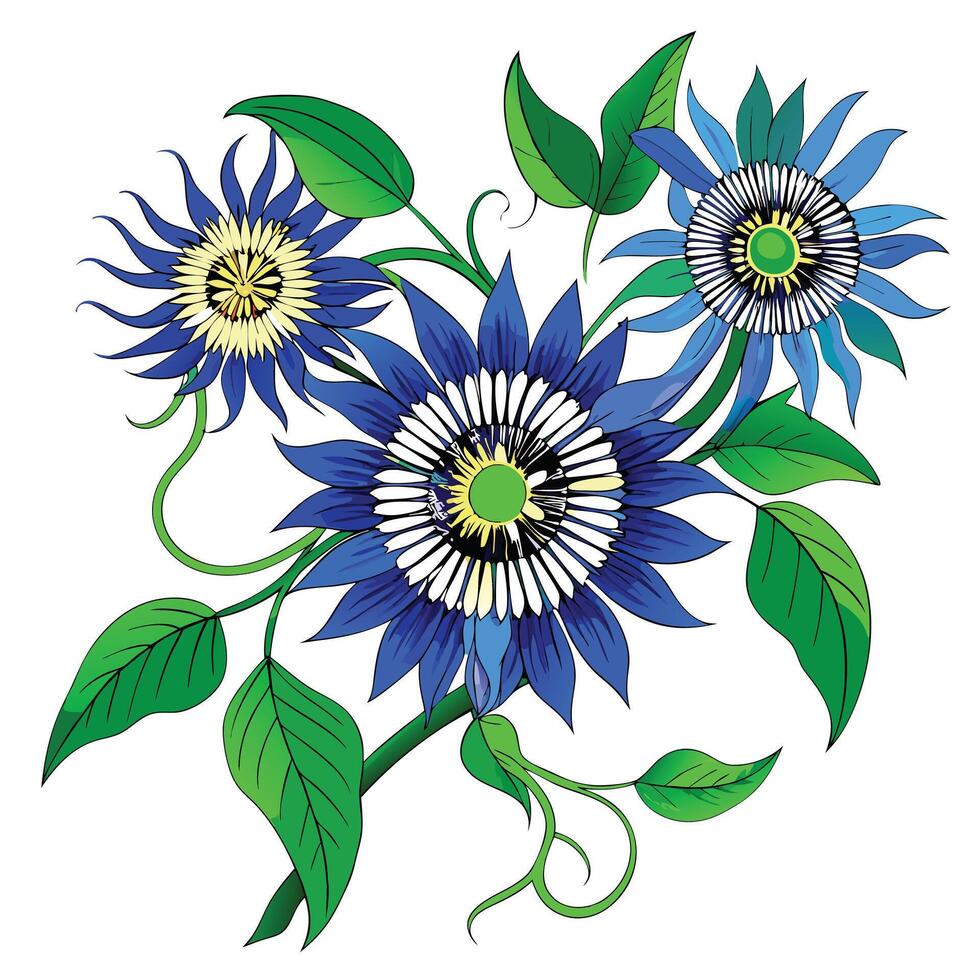 Blue Passionflower Vine with Purple Flowers and Green Leaves in a Garden Setting vector