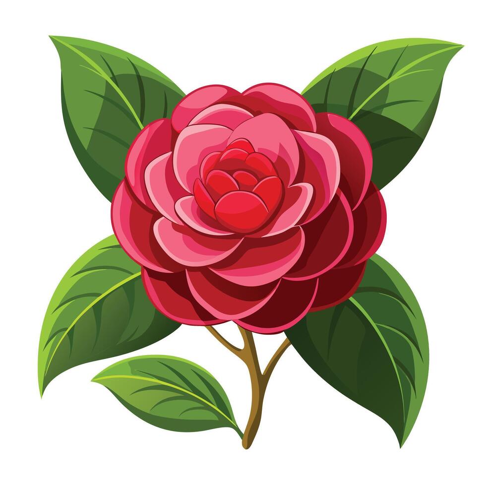Beautiful Camellia Plant with Lush Glossy Leaves and Flowers vector