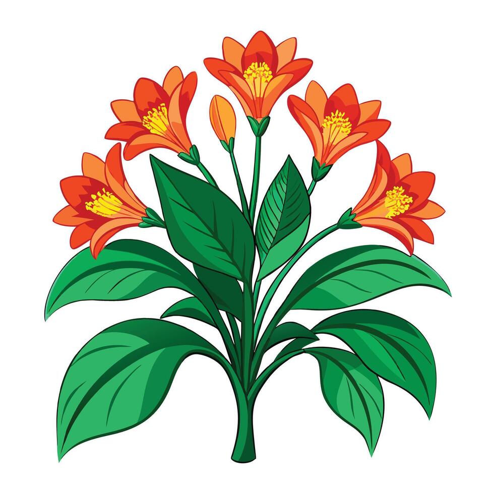 Botanical Depiction of a Clivia Plant in Full Bloom with Green Leaves and Stems vector