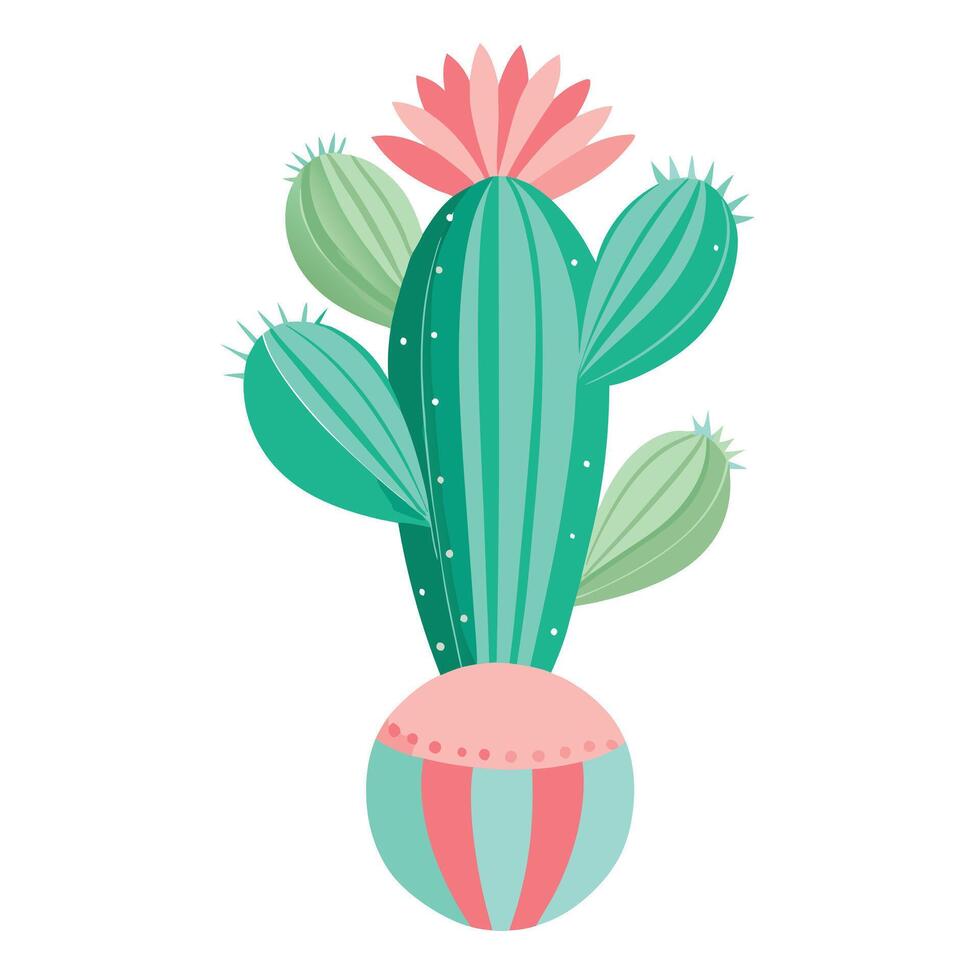 Botanical Depiction of a Coral Cactus Plant in Full Bloom with Green Leaves and Stems vector