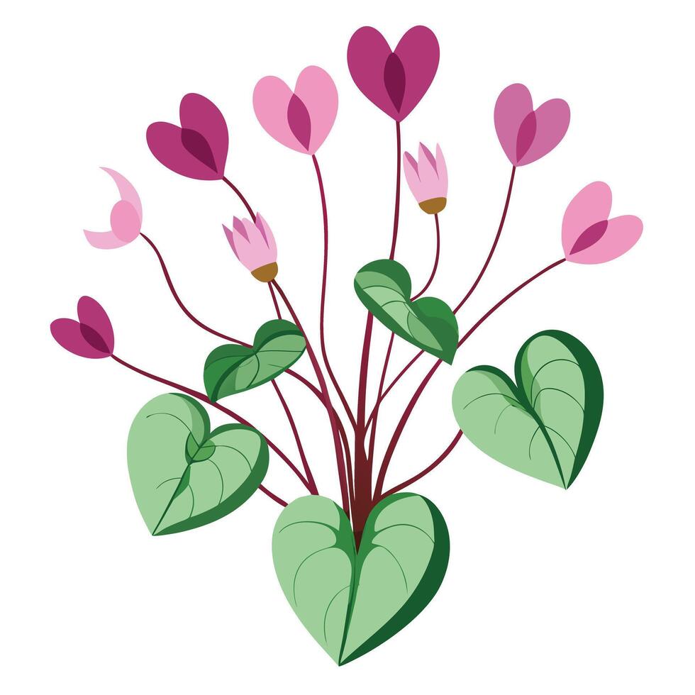 Botanical Depiction of a Cyclamen Plant in Full Bloom with Green Leaves and Stems vector