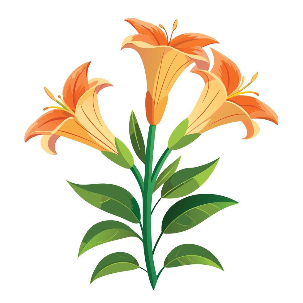 Botanical Depiction of a Daylily Plant in Full Bloom with Green Leaves and Stems vector
